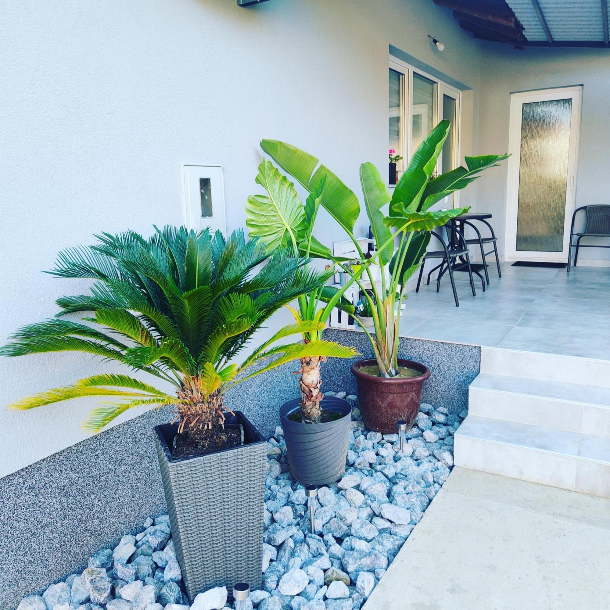 Apartmani Sun & Moon Bjelovar Exterior foto